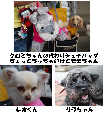 Schna☆Baka in はな阿蘇美２