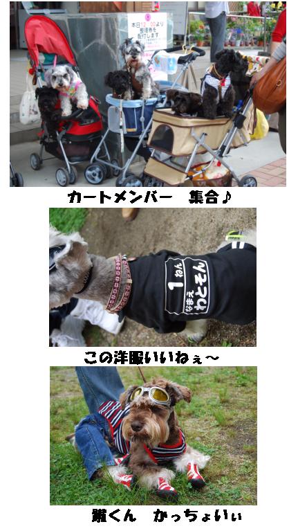 Schna☆Baka in はな阿蘇美３