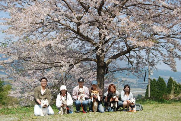 桜の前でパチリ☆