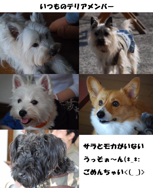 いつものメンバー