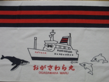 おが丸タオル（10/11/22）