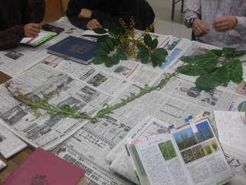 雑草の会（11/01/11）