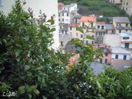 riomaggiore 30