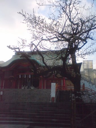 花園神社　２