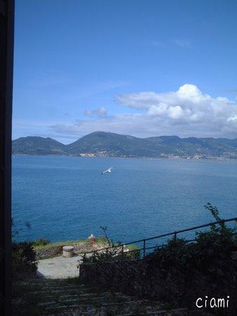 lerici 31