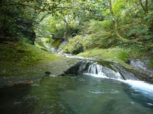 湧き水からの川