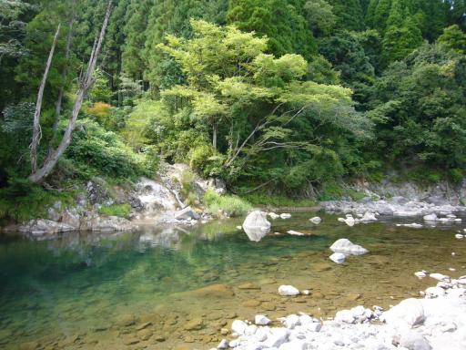 夏の川辺