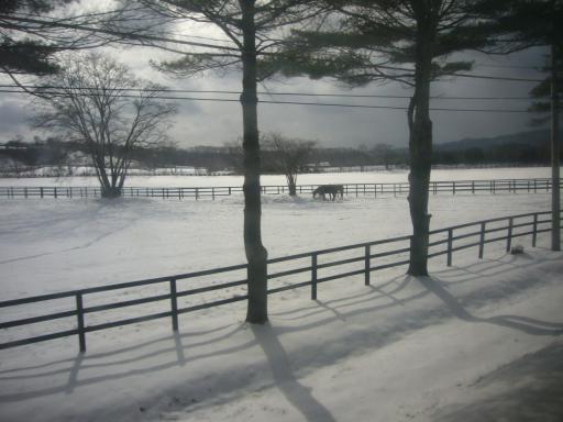 雪の牧場