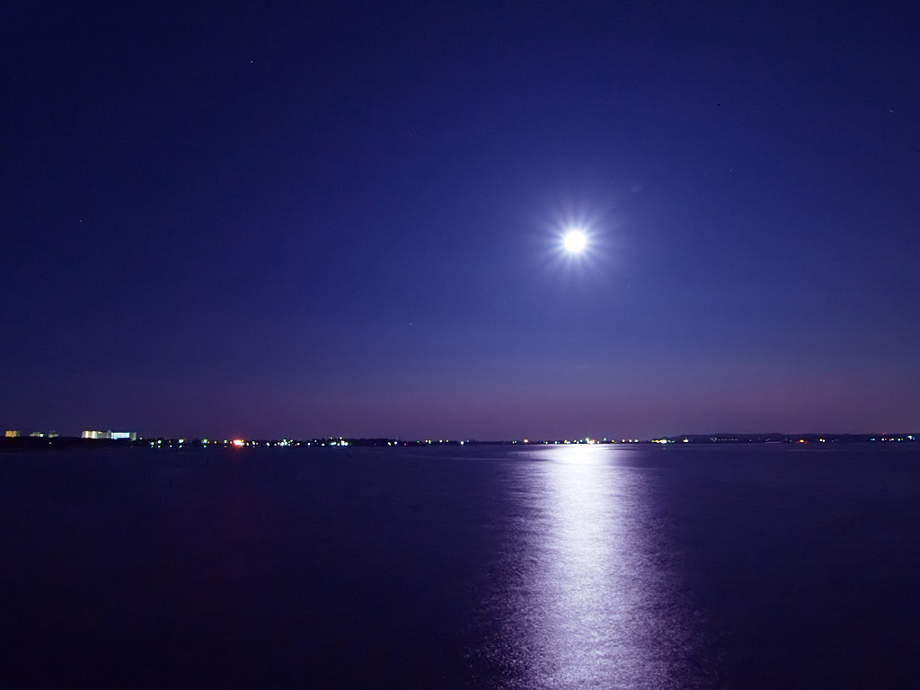 夜景　たぬさん.jpg