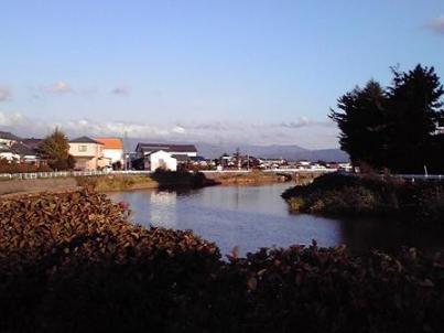 バーベキュー１