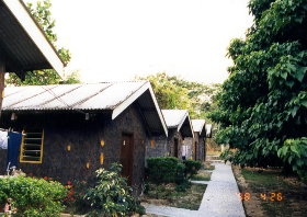 JIPUNI0194b.jpg