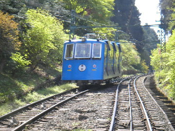 P5030040.JPG