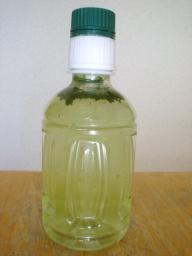 おーいお茶抹茶　抹茶投入