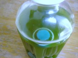 おーいお茶抹茶