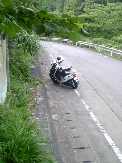 カメラマン気取りｗ