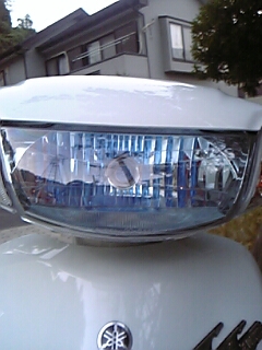 ホワイトゴースト