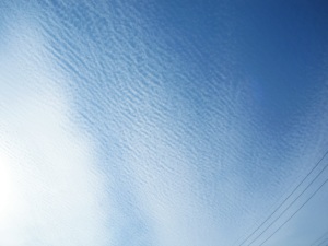 101119うろこ雲