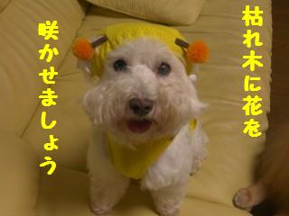 画像 106.jpg
