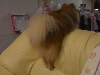 画像 095.jpg
