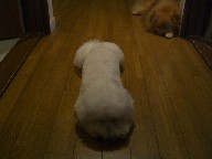 画像 069.jpg