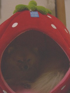 画像 290.jpg