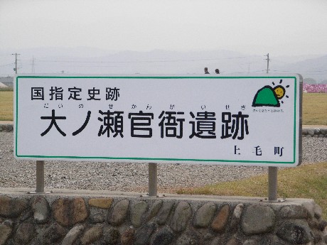 コスモス2.JPG
