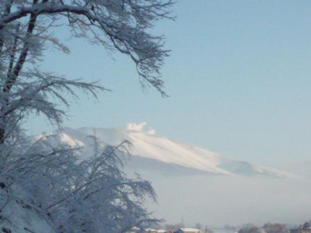 2月2日雪景色.JPG