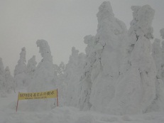 20120101 樹氷平.jpg