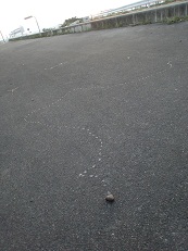 09270545 道のり３倍.jpg
