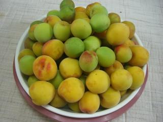 画像 256.jpg