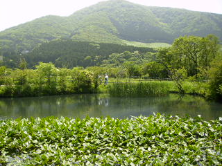 箱根2007.5.26 054.jpg