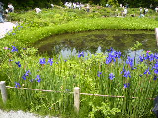 箱根2007.5.26 057.jpg