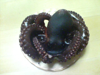 連休釣り タコ2