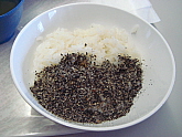 社食20100622-2.jpg