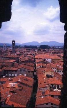 lucca2