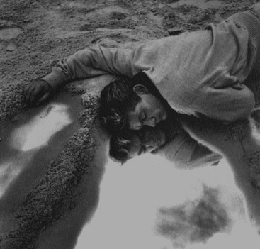 オルフェと水溜り