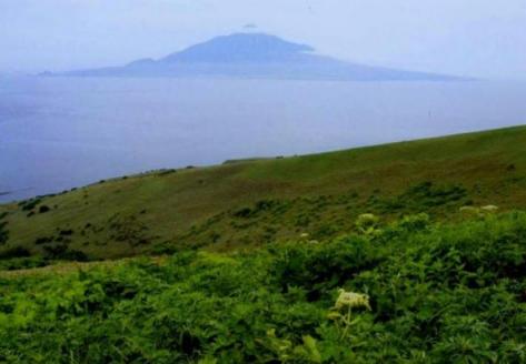 礼文島からみた利尻島