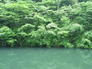 白糸の滝への池