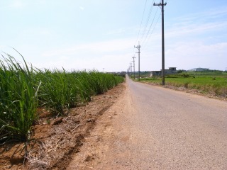 小浜島１０