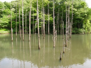 小山内裏公園２