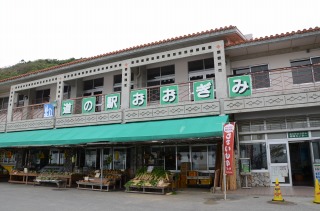 道の駅　おおぎみ