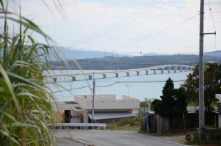 秋の古宇利大橋２