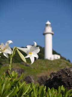 石垣島２７