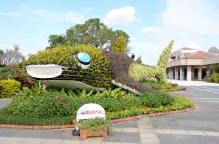 美ら海水族館１４