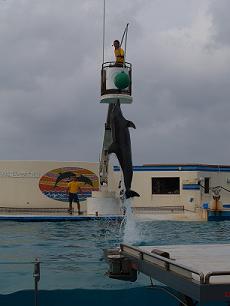 美ら海水族館５.JPG