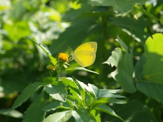 20110924小山内裏公園2