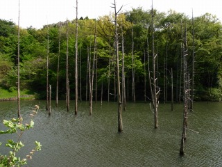 小山内裏公園１