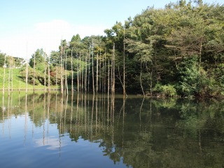 20110924小山内裏公園15