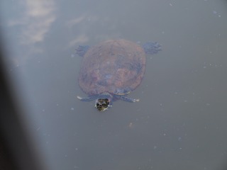 20110924小山内裏公園17