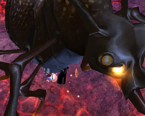 こどらーーーー